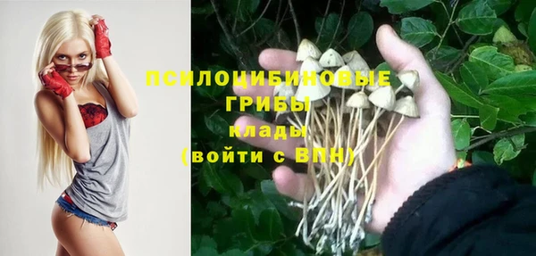 PSILOCYBIN Каменка